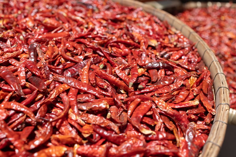 Chili Mbuzu variety