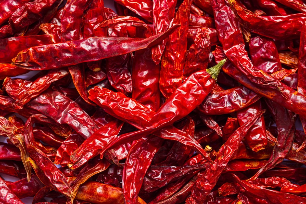 Premium dried chilies being sun-dried