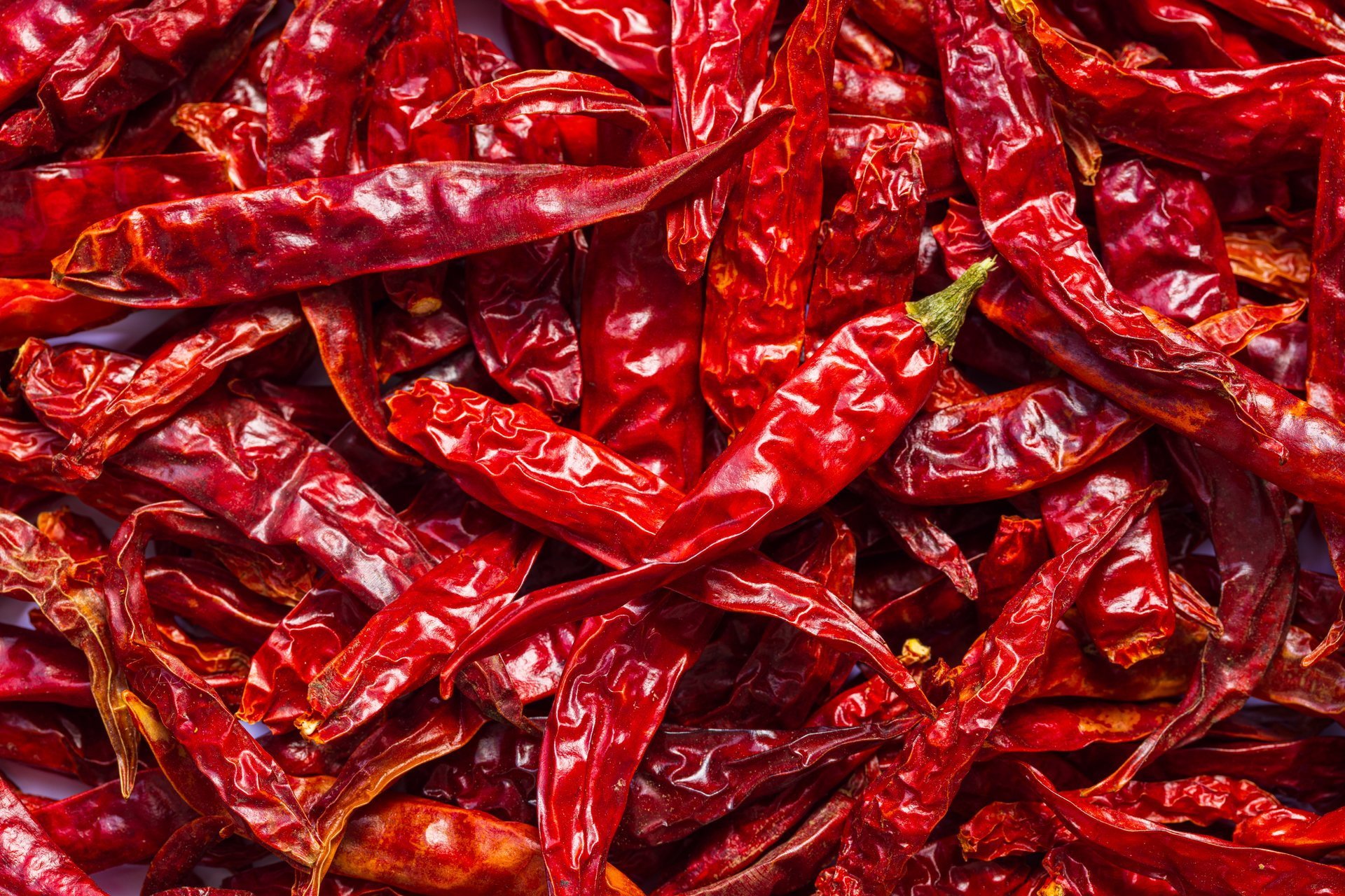 Premium dried chilies being sun-dried